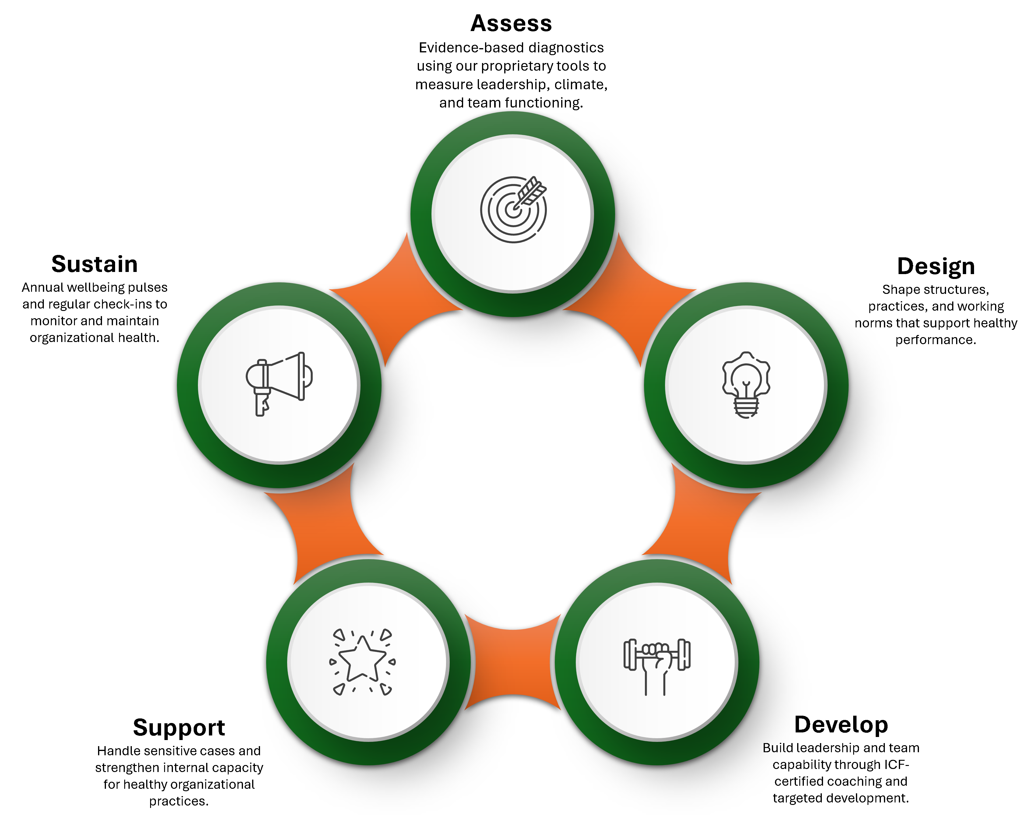 ALRAJHI CONSULTING - What We Do